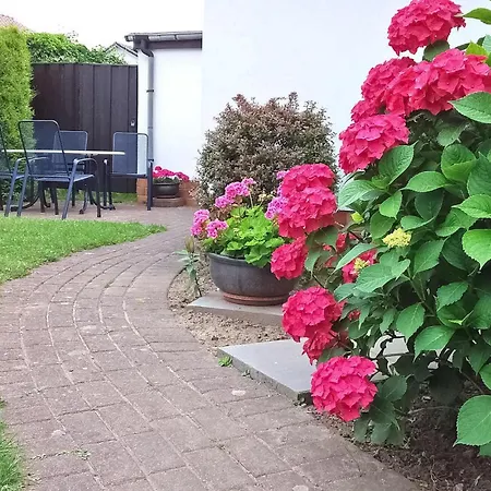 1 Bedroom Amazing In Ostseebad Appartement